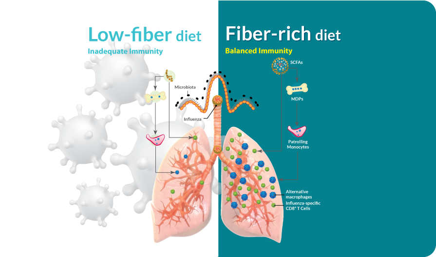 Benefits of having a fiber-rich diet