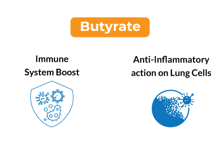 Core functions of protection against Coronavirus